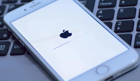 Die neueste iOS Version 12.1.3 führt offenbar erneut zu Verbindungsproblemen bei den iPhone-Nutzern.