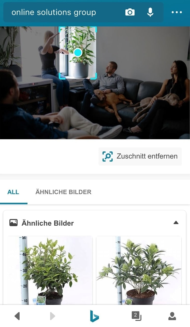 Screenshot der visuellen Suche auf Bing