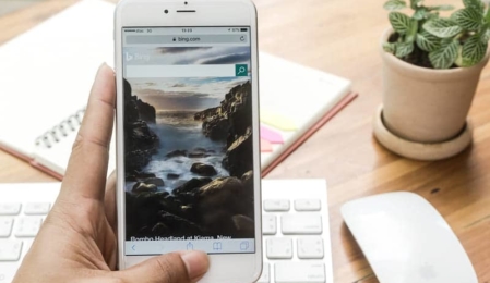 Bing Neue Features in den Suchergebnissen