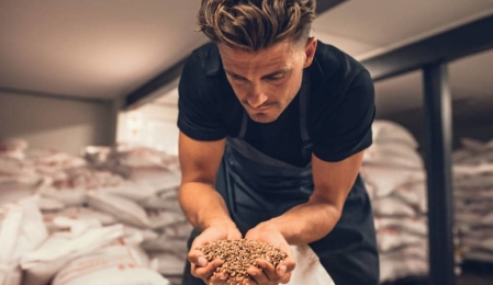 Content Seeding: Ideen und Tipps