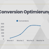 Conversion Optimierung