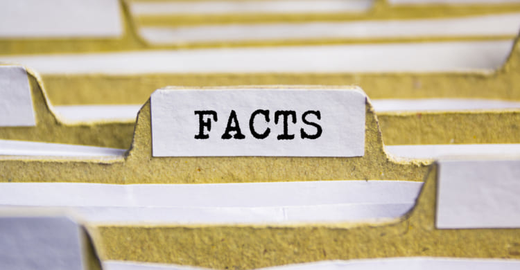 Daily Digital Facts