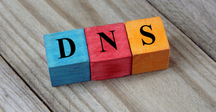 Domain Name System (DNS) 