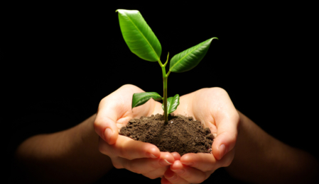 Wie Sie Ihren Evergreen-Content am Leben erhalten