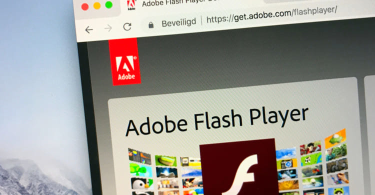 Adobe Flash  Player Download 