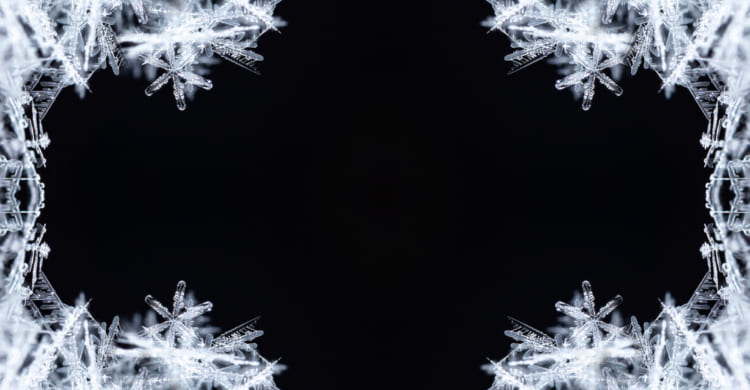 Freeze Frame