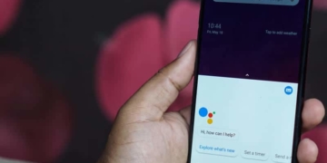 Google Assistant testet Suchanzeigen