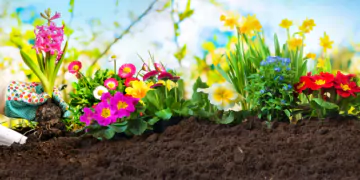 Online Marketing für den Gartenbau