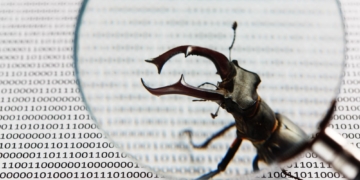 Wordpress-Bug-Fehler-News-min