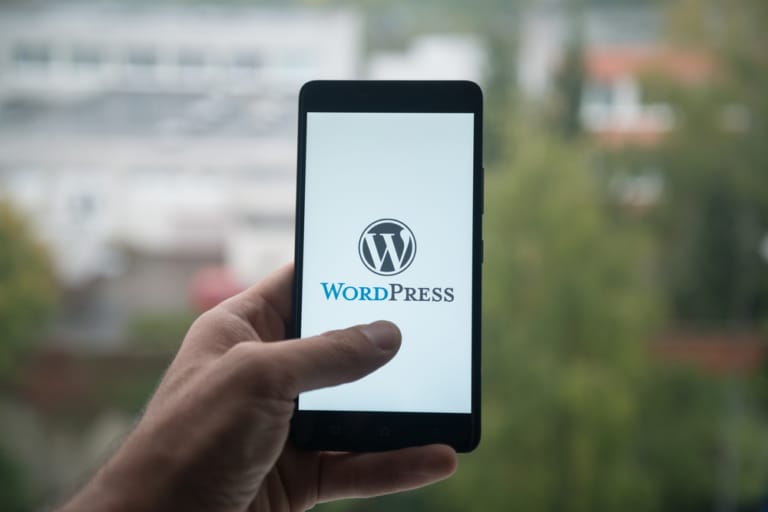 Wordpress_Update_5.5