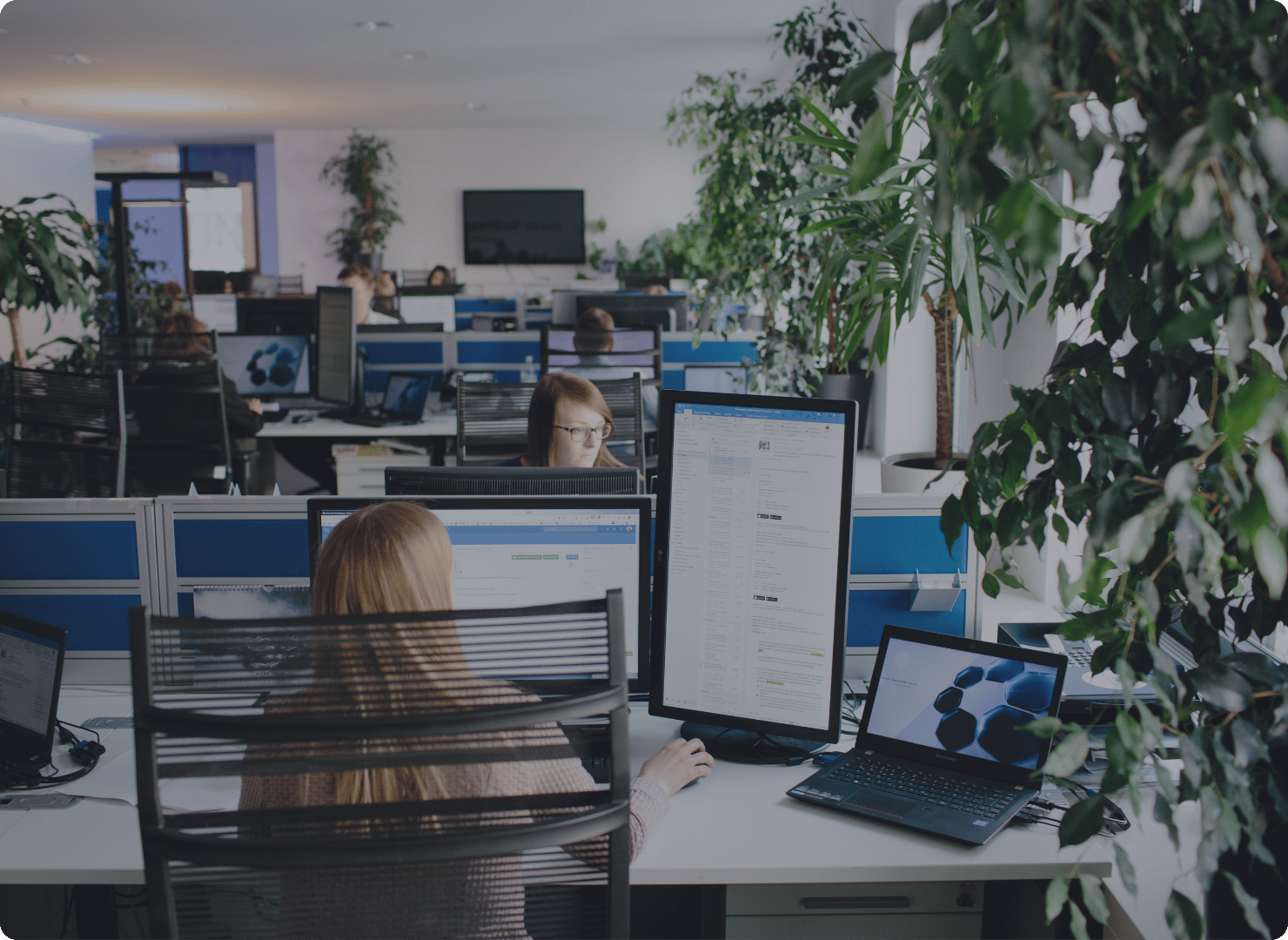 Agenturerfahrung seit 2008