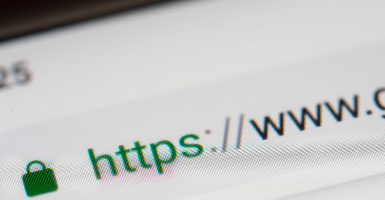 Fully Qualified Domain Name (FQDN) URL