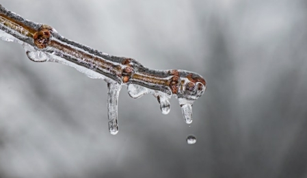 Go-Digital Förderung kommt wieder ins Rollen