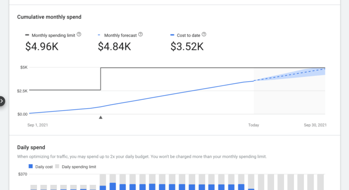 Übersicht monatliche Ausgaben Google Ads