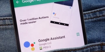 Google Assistant bilingual