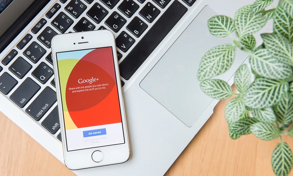 Google Discover blockt 5 Inhalte