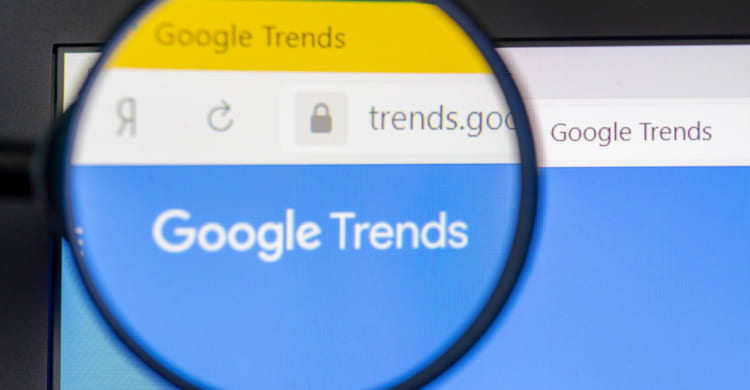 google insights for search lupe