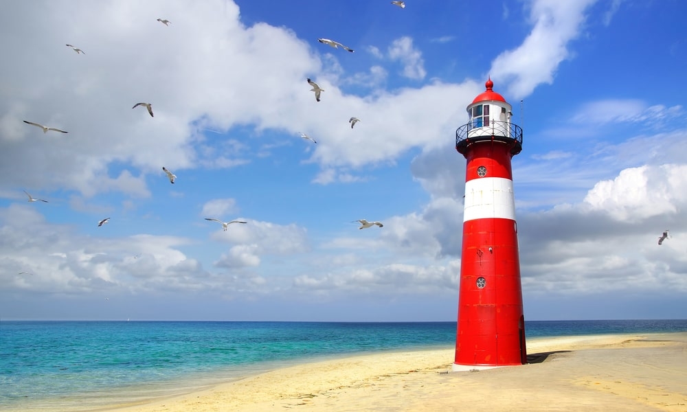 Google Lighthouse 8.0: So ändern sich die PageSpeed Scores