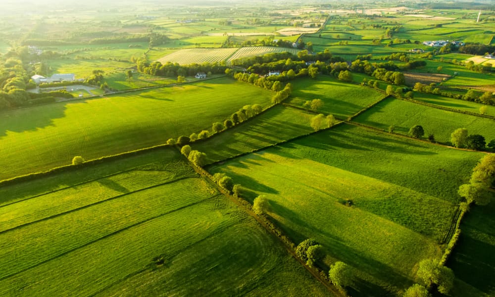 Endlose Landschaft