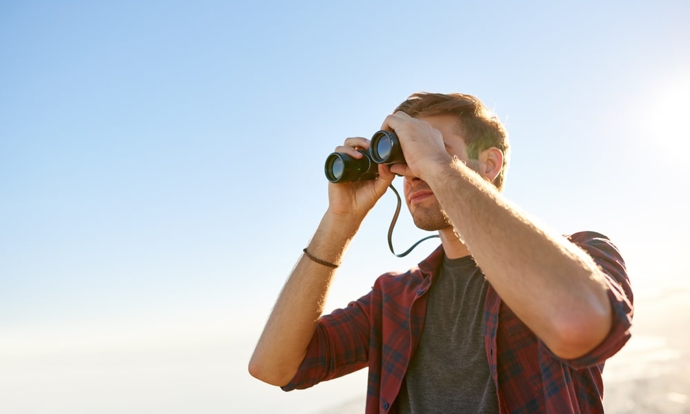Google Search Console: Darum verschwinden Seiten