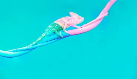 Google Veränderung SEO