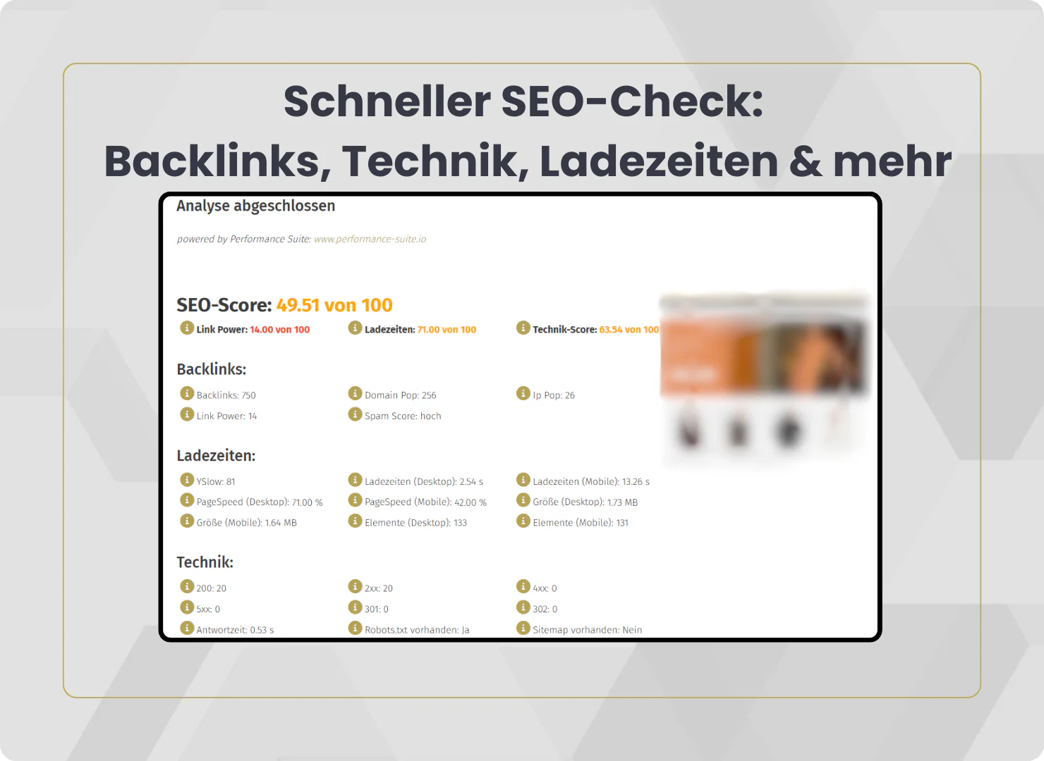 Unser Website-SEO-Check prüft die wichtigsten SEO-Aspekte.