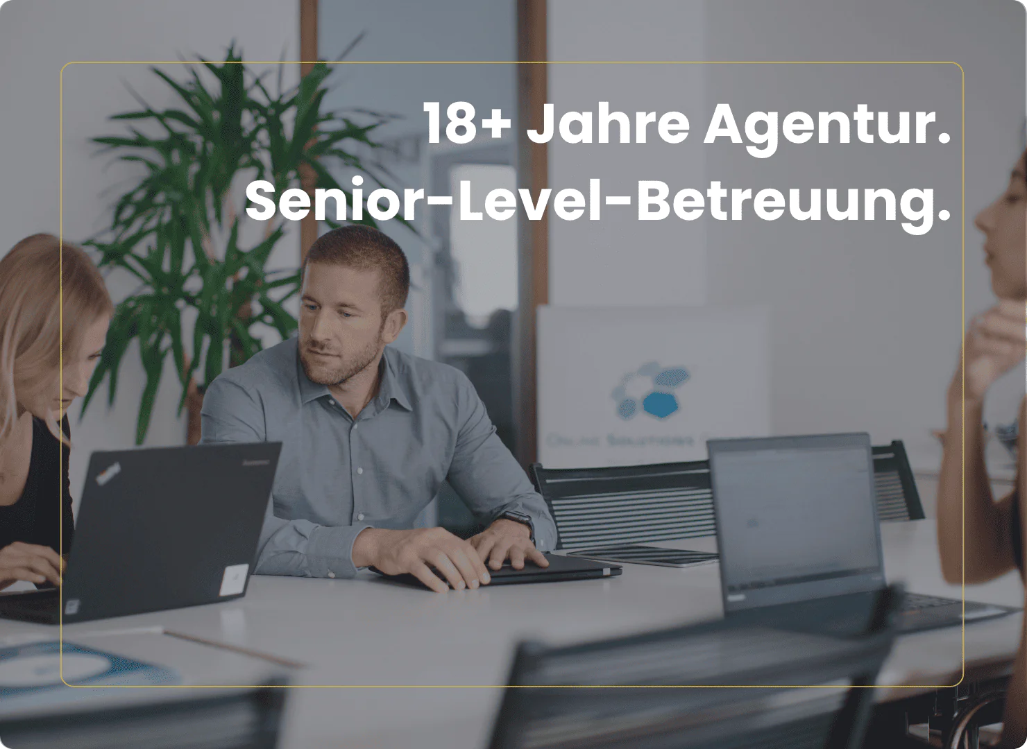 SEO Senior Level