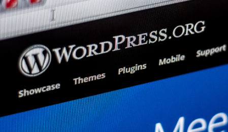 Wordpress Plugin Google Web Stories