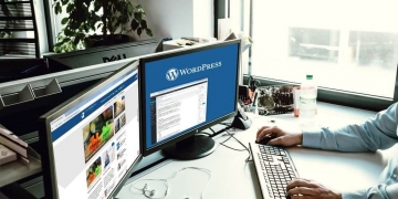 WordPress SEO